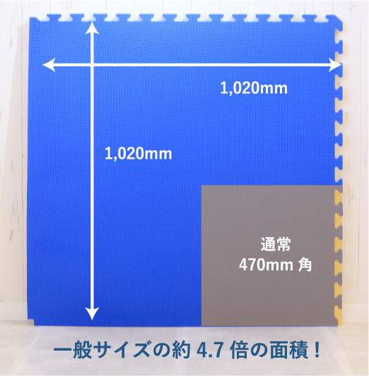 一般サイズの約4.7倍の面積!